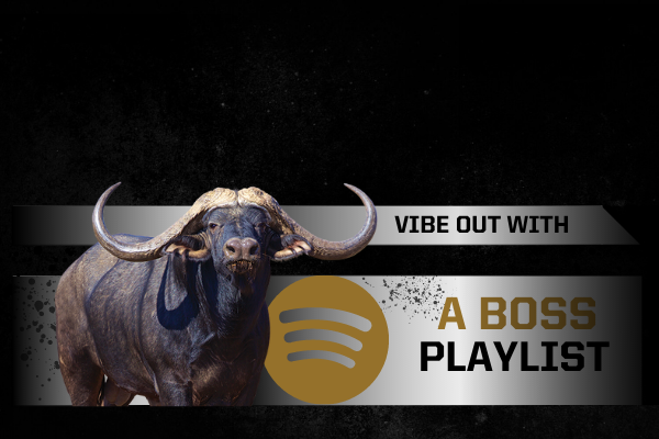 Boss Playlist